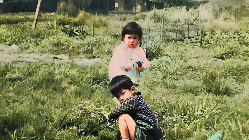 シロツメクサの花 横浜市磯子区岡村公園