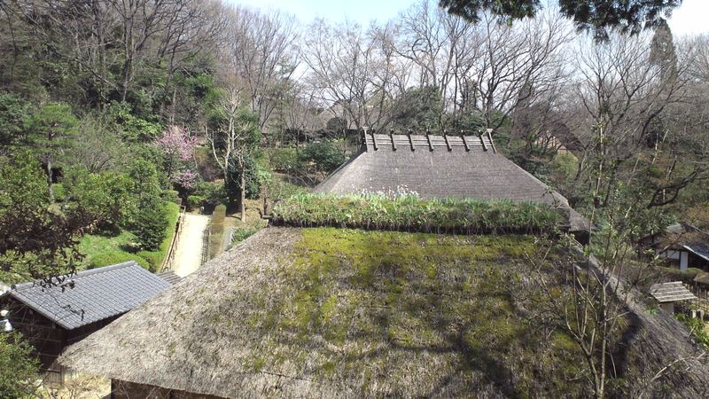 川崎市民家園 川崎市多摩区川崎市民家園