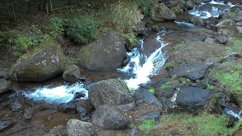 日向渓谷 伊勢原市大山