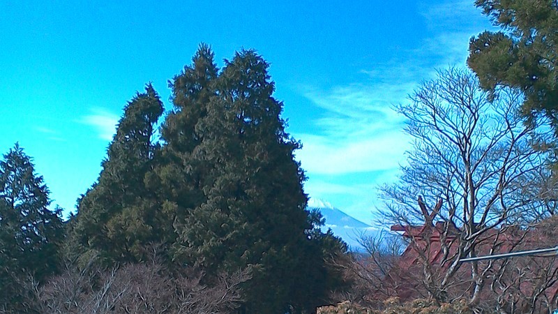 大山から見える富士山 伊勢原市大山
