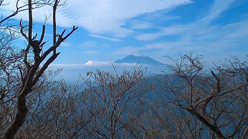 大山から見える富士山 伊勢原市大山