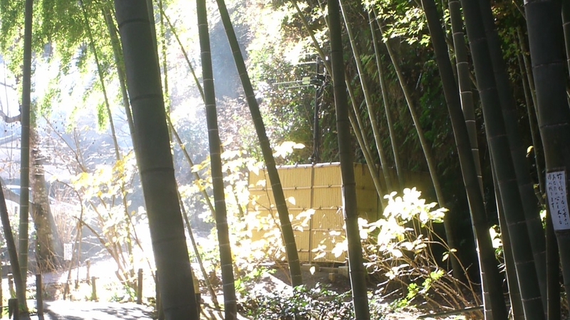 鎌倉アルプス 鎌倉市鎌倉