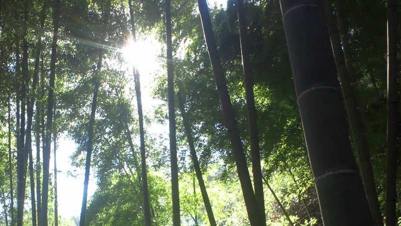 鎌倉アルプス 鎌倉市鎌倉