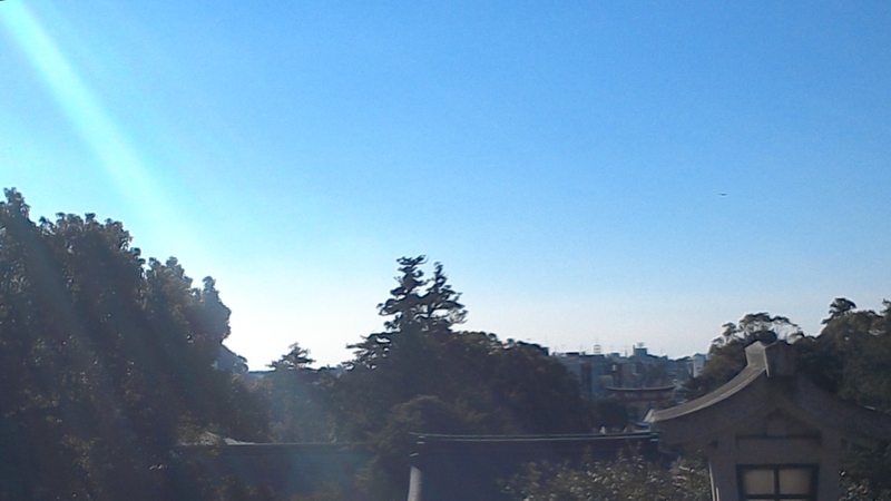 鶴岡八幡宮 鎌倉市鎌倉