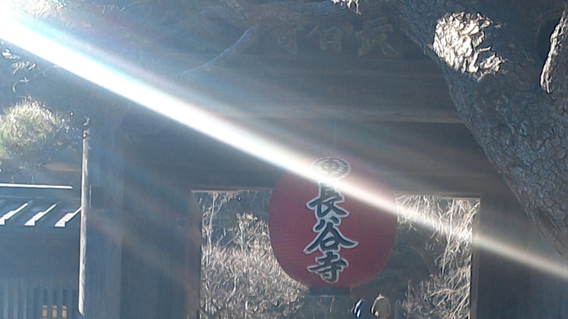 長谷寺 鎌倉市鎌倉