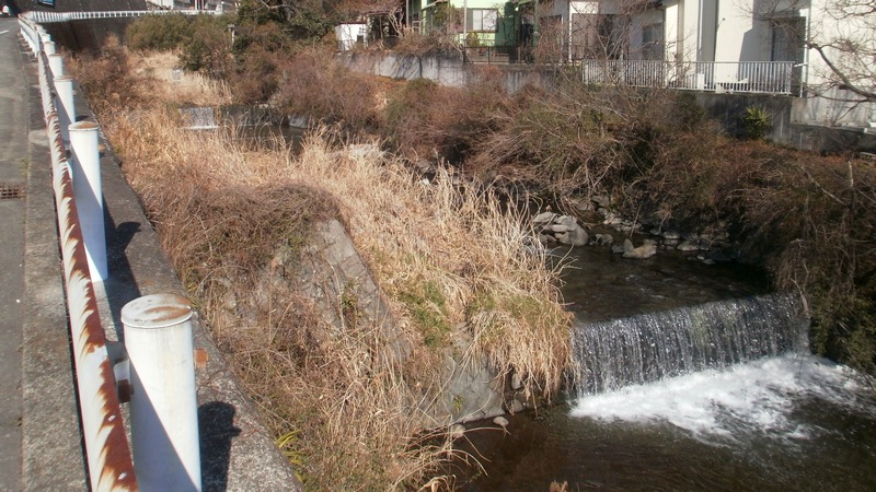 新崎川 湯河原市湯河原