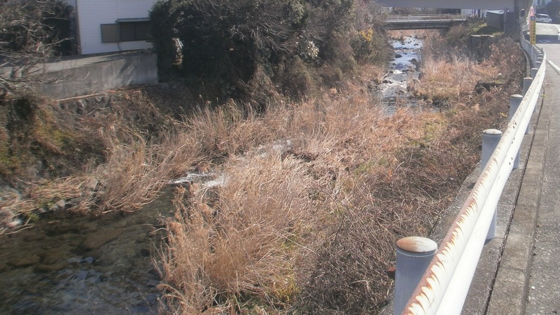 新崎川 湯河原市湯河原