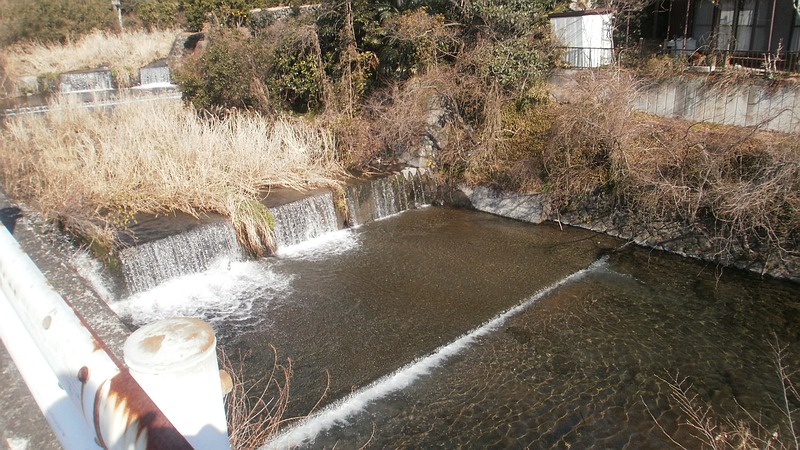 新崎川 湯河原市湯河原
