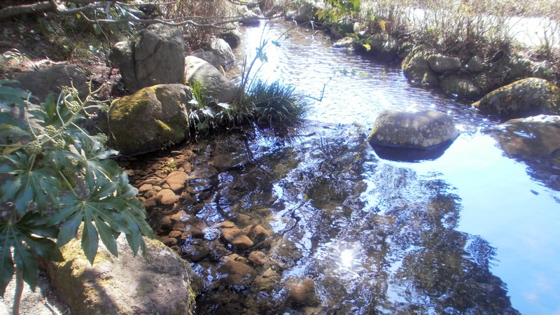 新崎川 湯河原市湯河原