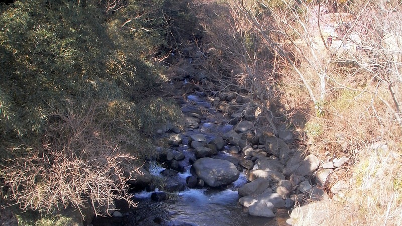 新崎川 湯河原市湯河原