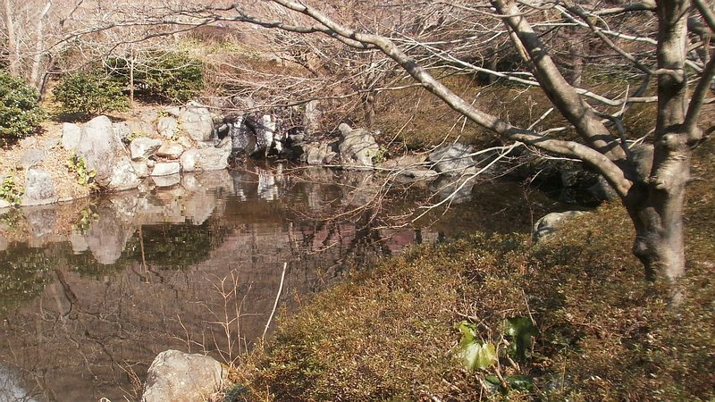 湯河原梅園 湯河原市湯河原梅園