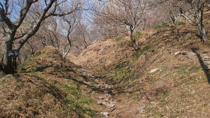 湯河原梅園 湯河原市湯河原梅園