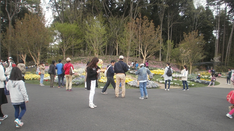 第33回全国都市緑化よこはまフェア 横浜市旭区上白根町里山ガーデン