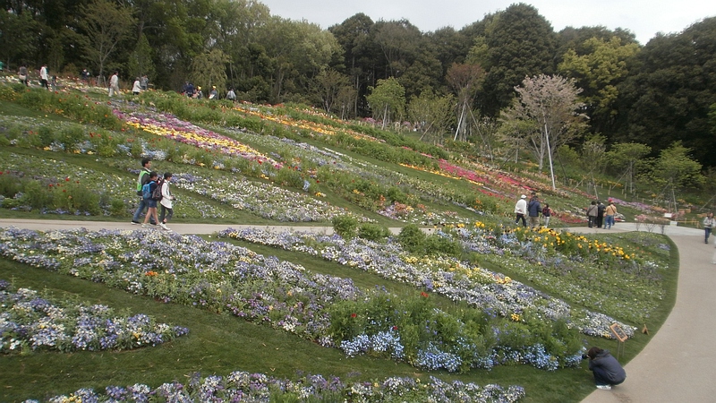 第33回全国都市緑化よこはまフェア 横浜市旭区上白根町里山ガーデン