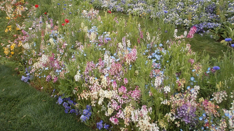 第33回全国都市緑化よこはまフェア 横浜市旭区上白根町里山ガーデン