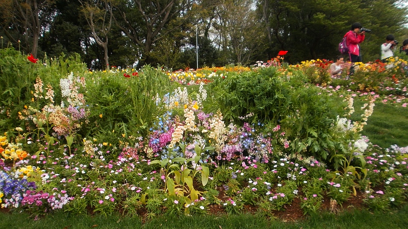 第33回全国都市緑化よこはまフェア 横浜市旭区上白根町里山ガーデン