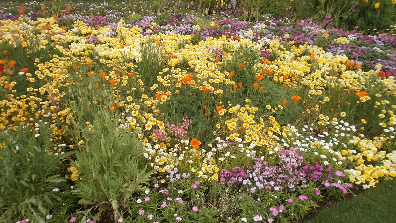 第33回全国都市緑化よこはまフェア 横浜市旭区上白根町里山ガーデン