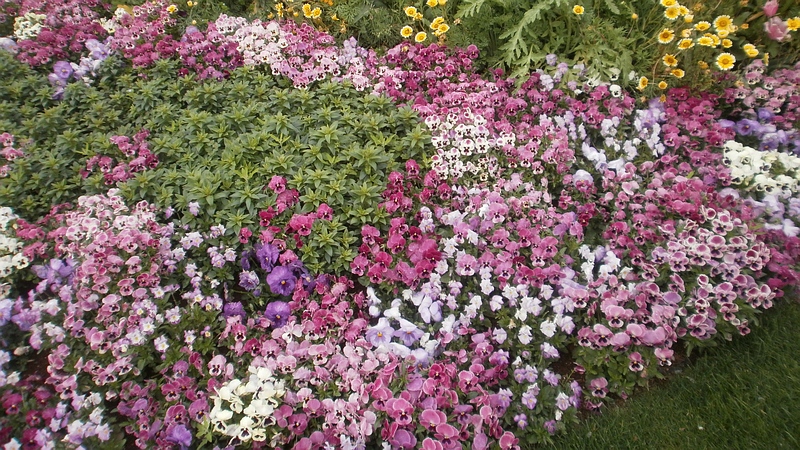 第33回全国都市緑化よこはまフェア 横浜市旭区上白根町里山ガーデン