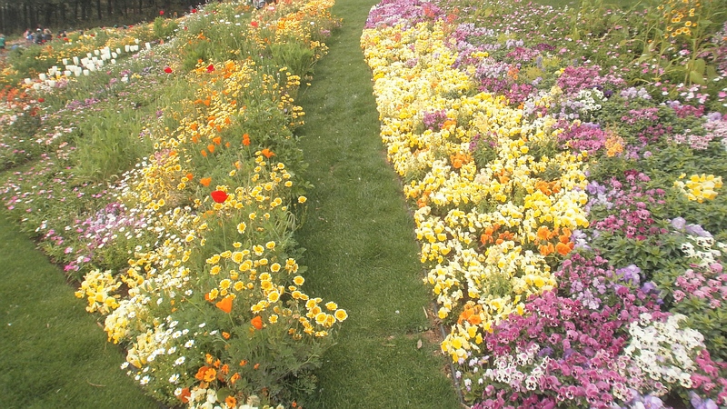 第33回全国都市緑化よこはまフェア 横浜市旭区上白根町里山ガーデン