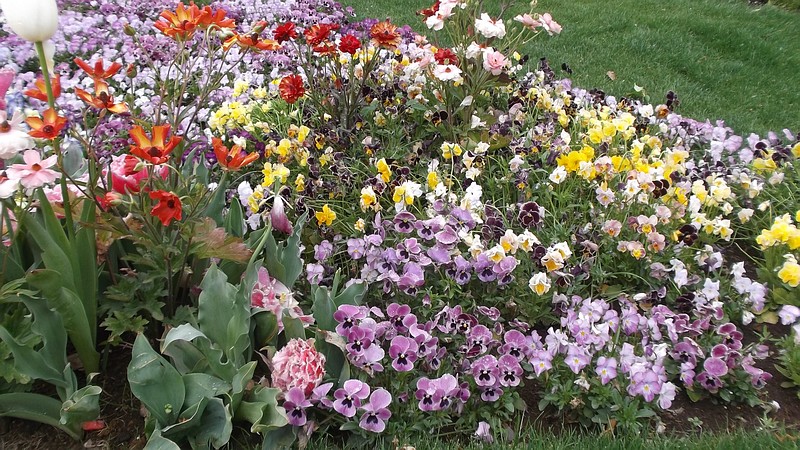 第33回全国都市緑化よこはまフェア 横浜市旭区上白根町里山ガーデン