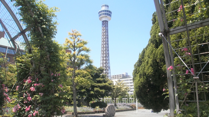 全国都市緑化よこはまフェア 横浜市中区山下公園