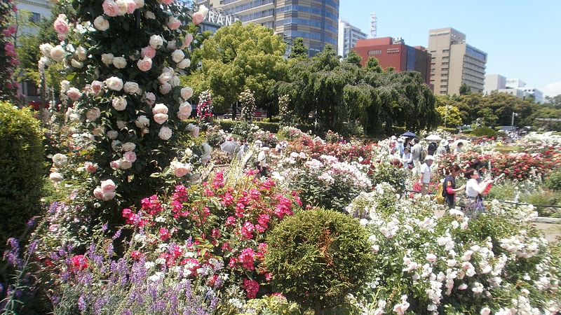全国都市緑化よこはまフェア 横浜市中区山下公園