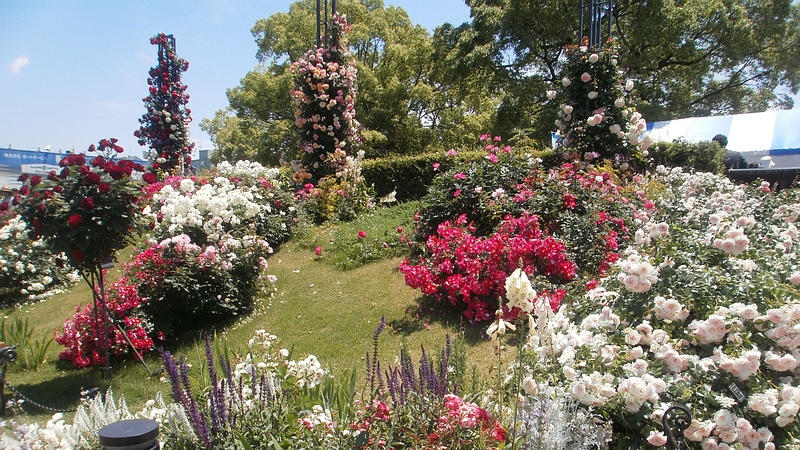 全国都市緑化よこはまフェア 横浜市中区山下公園