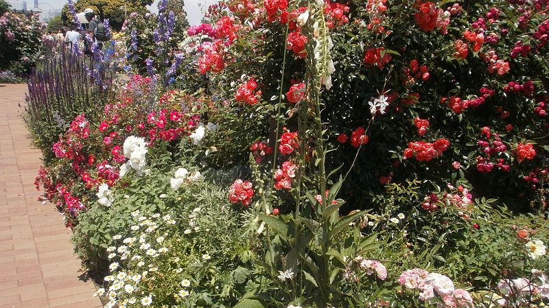 全国都市緑化よこはまフェア 横浜市中区山下公園