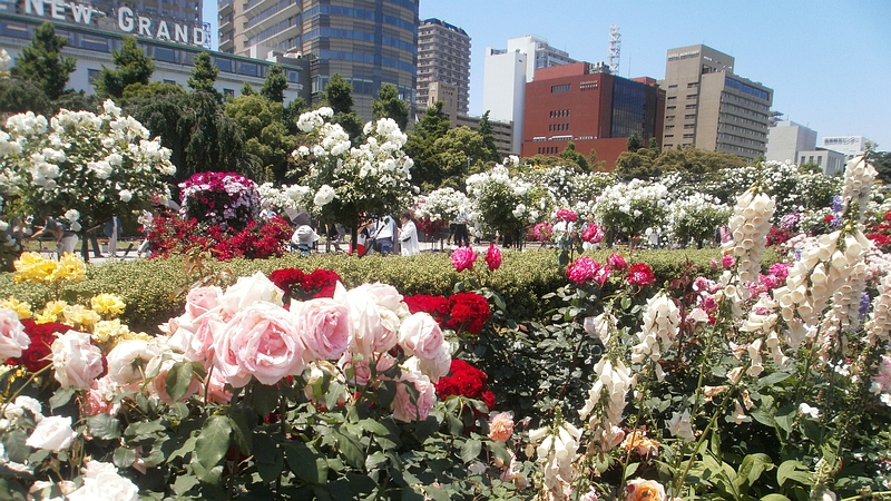 全国都市緑化よこはまフェア 横浜市中区山下公園
