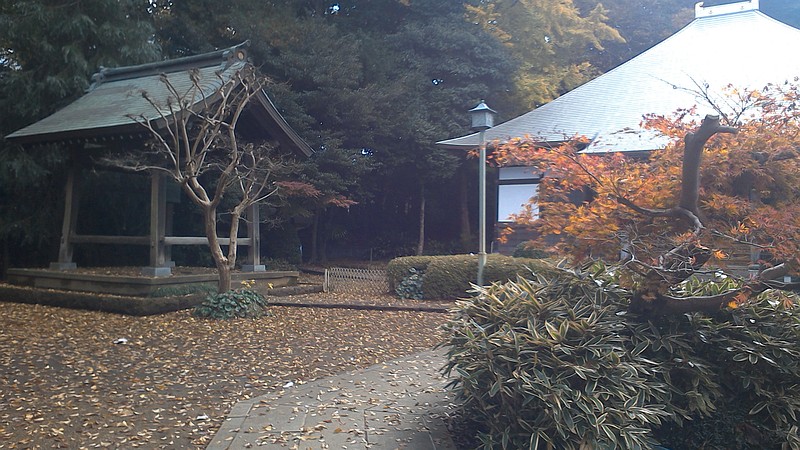 清来寺境内 横浜市旭区今宿南町清来寺