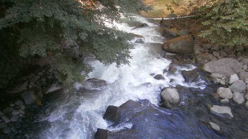 早川 足柄下郡箱根湯本