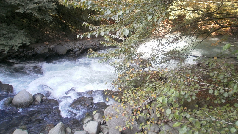 早川 足柄下郡箱根湯本