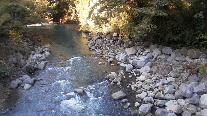 早川 足柄下郡箱根湯本