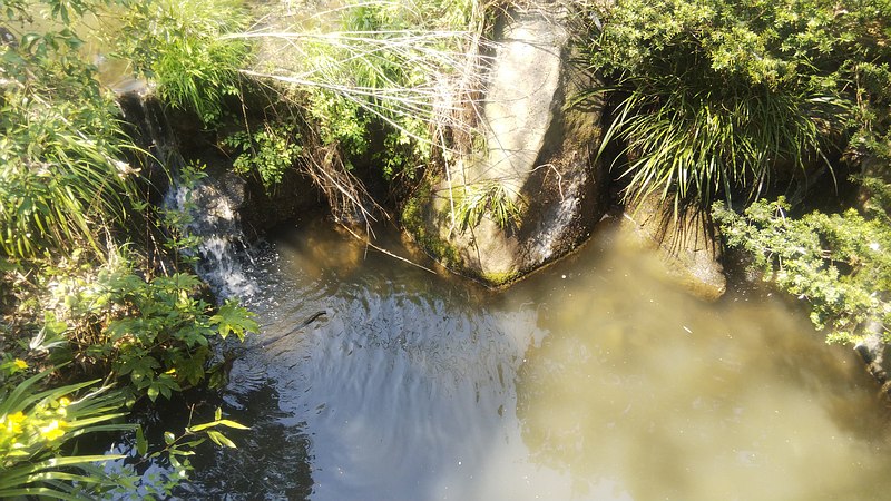帷子川親水緑道 横浜市旭区帷子川親水緑道