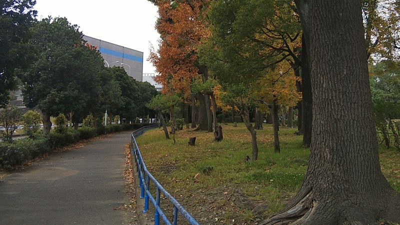 秋の通勤路 東京都大田区平和島公園