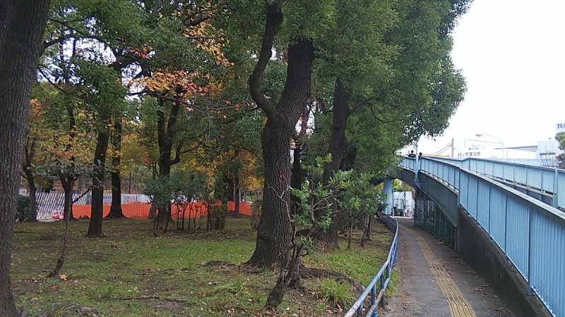 クスノキ並木と歩道橋 東京都大田区平和島公園
