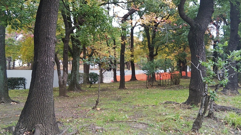 キャンプ場の改修現場 東京都大田区平和島公園