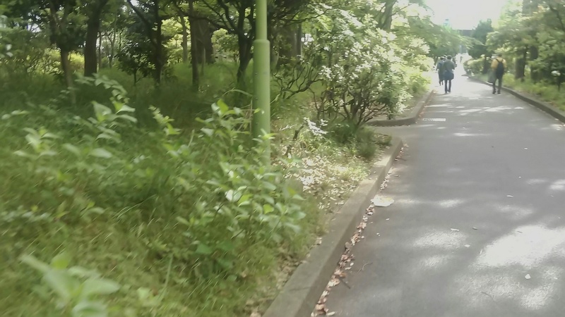 通勤路 東京都大田区平和の森公園