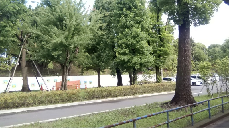 駐車場の木々 東京都大田区平和島公園