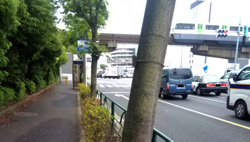 駅前のアオギリ並木 東京都大田区平和島
