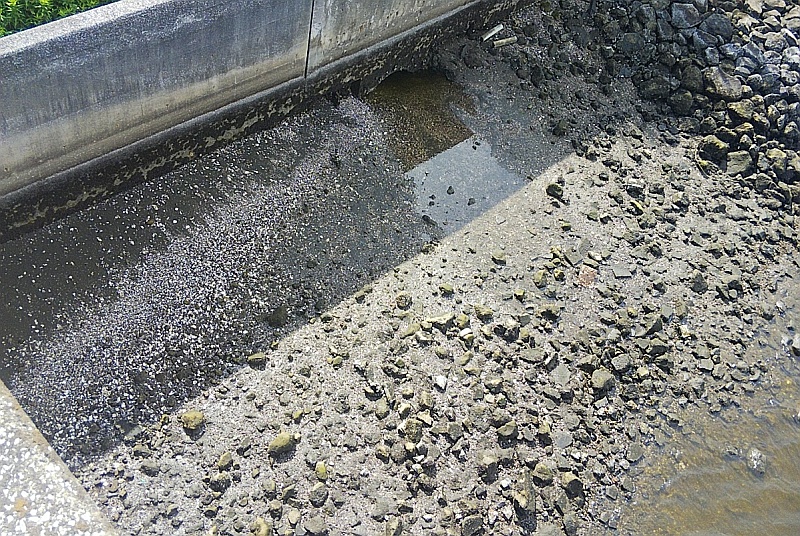 干潮時の橋のたもと 東京都大田区大和大橋