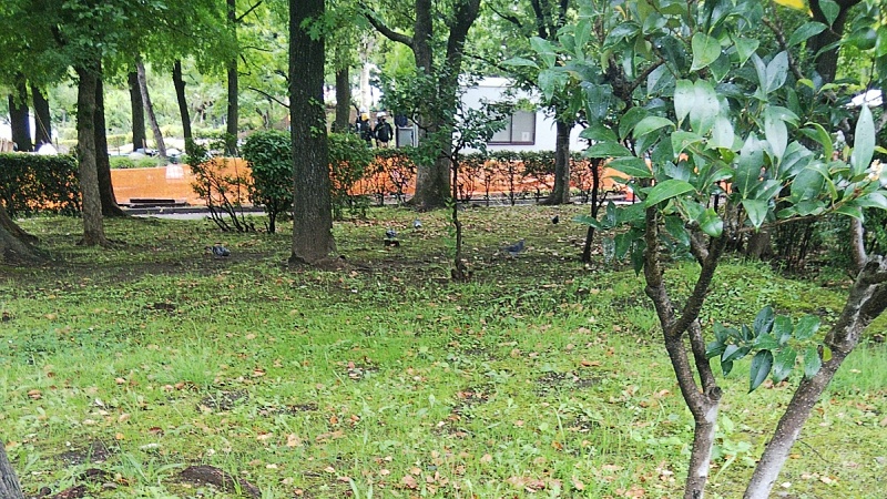 工事用の仮設小屋 東京都大田区平和島公園