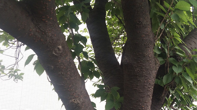 カンザン 東京都大田区平和島