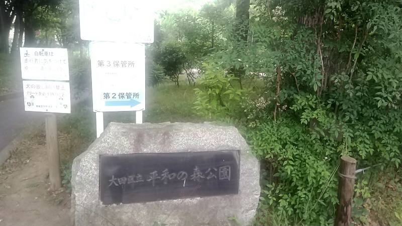 ナンテンの花 東京都大田区平和の森公園