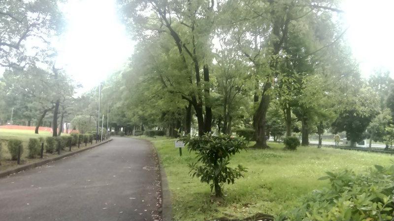遊歩道 東京都大田区平和島公園