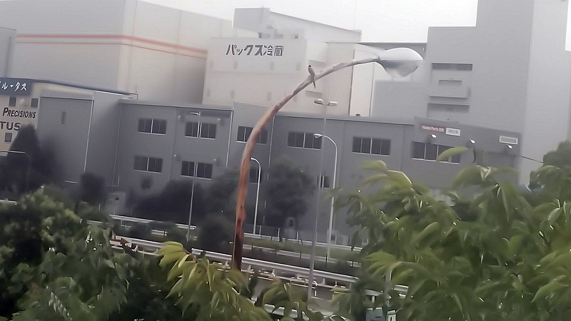 オナガ 東京都大田区平和島公園