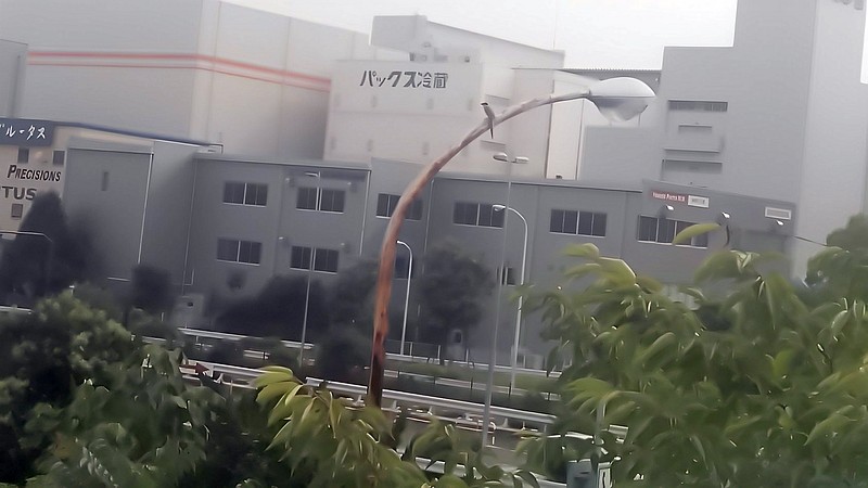 オナガ 東京都大田区平和島公園