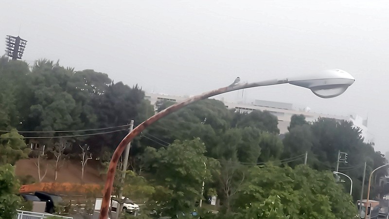 オナガ 東京都大田区平和島公園