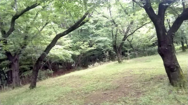 見晴らし広場 東京都大田区平和の森公園