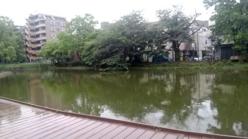 ひょうたん池のデッキ 東京都大田区平和の森公園